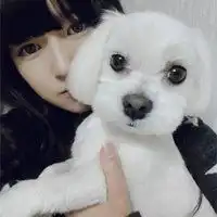 好看的狗狗微信头像大全微信头像图片大全