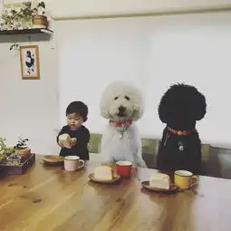 乐活丨天生一对mame与riku的幸福时光