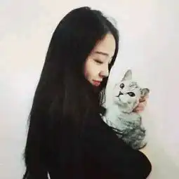 视频直播全集资料大全yy官方