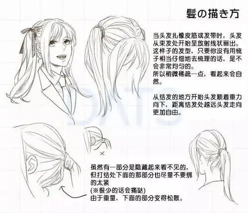 动漫人物发型的各种角度各种画法,多种发型参考