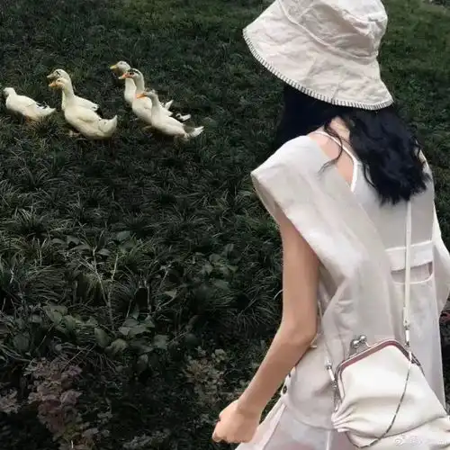 头像热爱漫无边际生活自有分寸