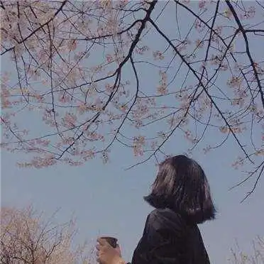 中年女人最有什么味道