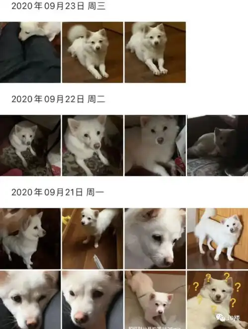 怎么从杭州跑到四川的女子上网偶然发现意难平