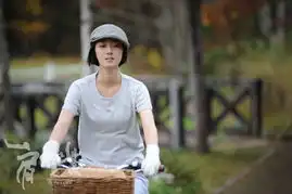 肩上蝶官方剧照