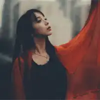 意境女头是局外人