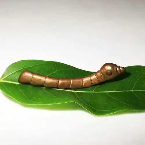 金蚕头像