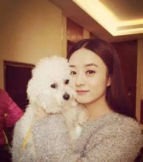 女生和狗狗的头像赵丽颖